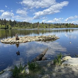 Lost Lagoon