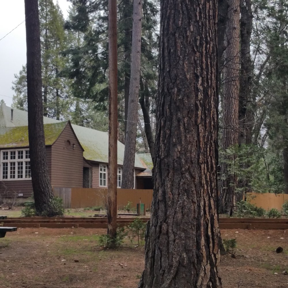 Mt. Shasta City Park - Function hall - Parks Near Me - Mount Shasta, California Mt. Shasta City Park - Function hall - Parks Near Me - Mount Shasta, California
