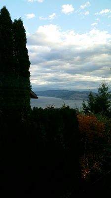 A View of the Lake Bed & Breakfast by null