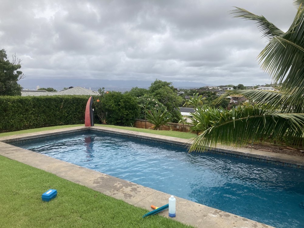 SHARKY’S POOL & SPA Logo