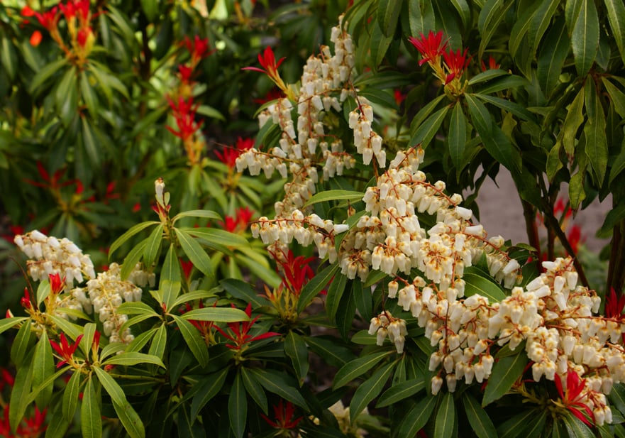 St. John's Churchyard Park