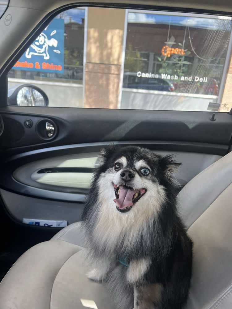 Shake & Shine Canine Wash and Deli Image