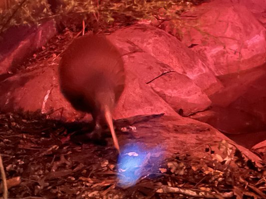 National Aquarium of New Zealand by null