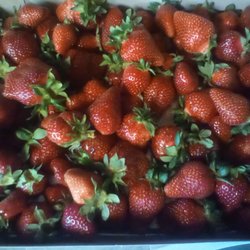 Tuttle Dl Berry & Vegetable Farm - Beautiful strawberries