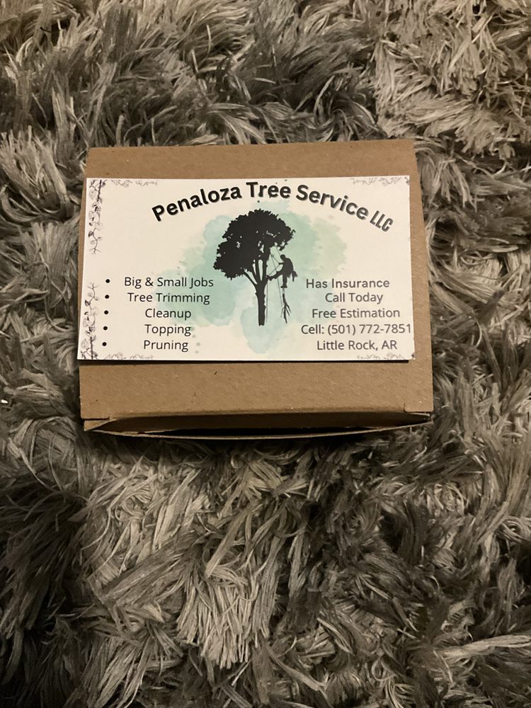 Penaloza Tree Service - tree service in Little Rock, AR