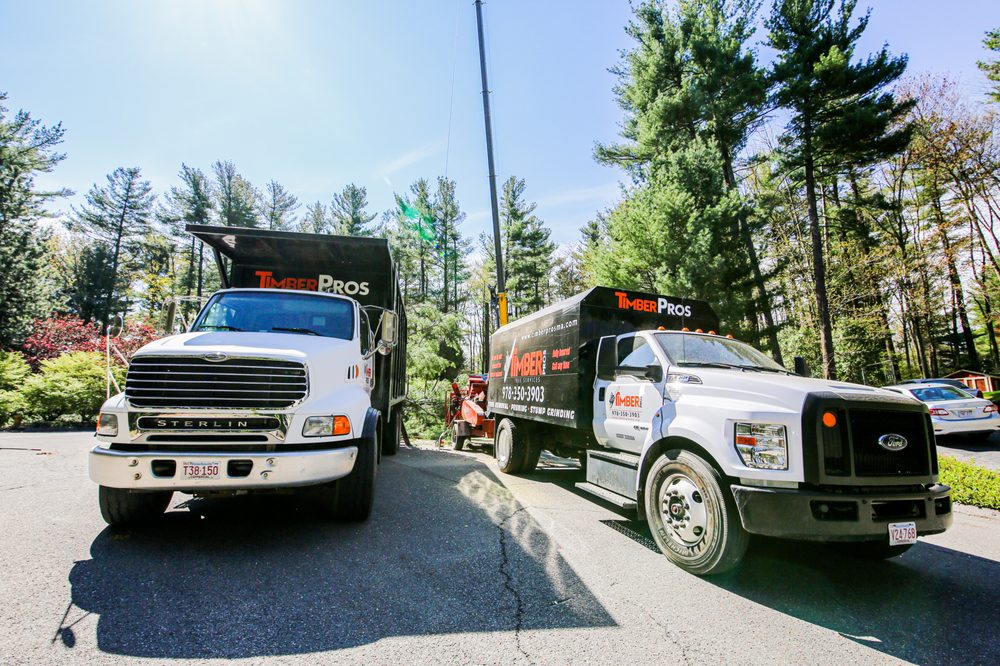 Timber Pros Tree Service TIMBER PROS - Updated July 2026 - 29 Photos - Leominster, Massachusetts ...