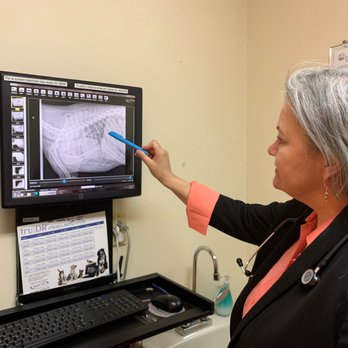 Animal Wellness Center - Dr. Apodaca reading a digital radiograph - Veterinarians Near Me - Santa Fe, New Mexico Animal Wellness Center - Dr. Apodaca reading a digital radiograph - Veterinarians Near Me - Santa Fe, New Mexico