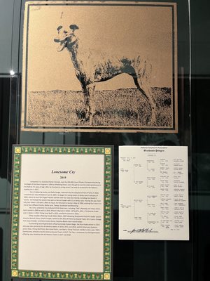 Greyhound Hall of Fame by null