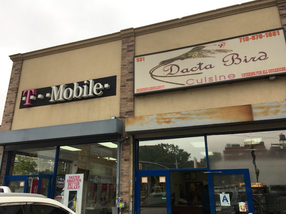 DACTA BIRD Updated August 2024 12 Photos 531 Utica Ave, Brooklyn