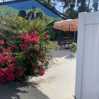 Belleair Coffee - Flowery patio with a great mural - Coffee & Tea Near Me - Largo, Florida Belleair Coffee - Flowery patio with a great mural - Coffee & Tea Near Me - Largo, Florida
