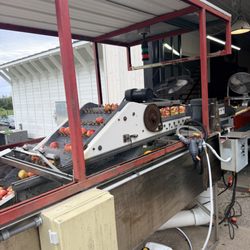 Ecker's Apple Farm - Conveyor