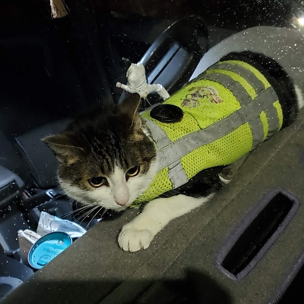 Jesse's Roadside Rescue - Roadside Assistance Near Me Jesse's Roadside Rescue - Roadside Assistance Near Me