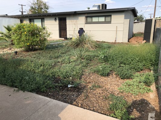 We are extremely happy to be able to please a family with a low maintenance yard. - When this family reached out they had mentioned their frustration with having irrigation issues, overgrown weeds, and a messy yard. When they explained what they had in mind and we gave a then some input, we were able to turn their yard into a total different and beautiful yard. We are extremely happy to be able to please a family with a low maintenance yard. - When this family reached out they had mentioned their frustration with having irrigation issues, overgrown weeds, and a messy yard. When they explained what they had in mind and we gave a then some input, we were able to turn their yard into a total different and beautiful yard.