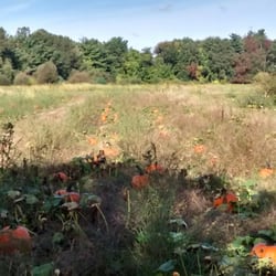 Back Acre Farm