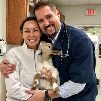 BEEVET Animal Hospital - Veterinarians Near Me - Austin, Texas BEEVET Animal Hospital - Veterinarians Near Me - Austin, Texas