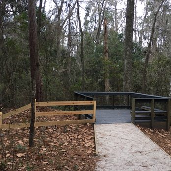 Springtree Park - Deck overlooking the passing creek below - Parks Near Me - Gainesville, Florida Springtree Park - Deck overlooking the passing creek below - Parks Near Me - Gainesville, Florida