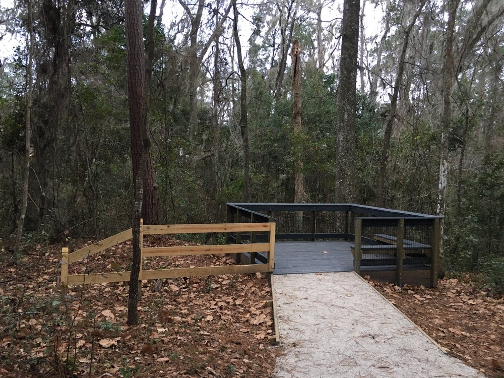 Springtree Park Image