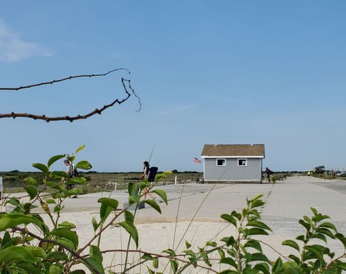 Jones Beach State Park by null