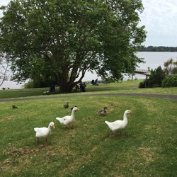 Killarney Park