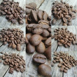Bridge Coffee Company - Our roast profiles from lightest to darkest (City to Full City+)