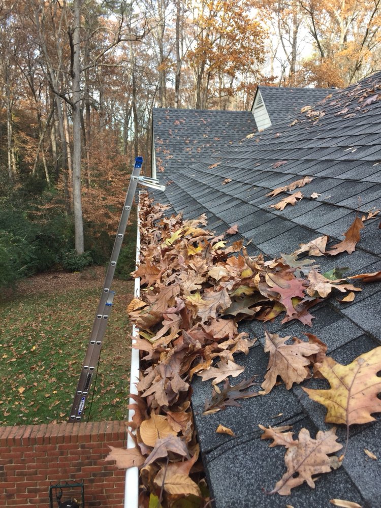 Slide of Leaf It to the Pros