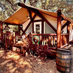 Westgate River Ranch Rodeo - Luxury Glamping