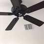 Photo of Dan's Fan City