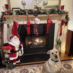 ABDB Home Services - Fixed Fireplace in time for Santa to come!