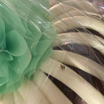 Nothing Bundt Cakes - moth on our cake - Desserts Near Me - Goleta, California Nothing Bundt Cakes - moth on our cake - Desserts Near Me - Goleta, California