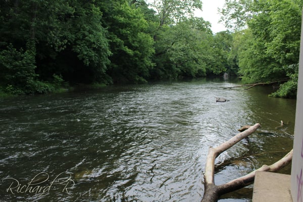 Meems Bottom Covered Bridge by null