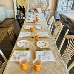 Kamins Farm Sanctuary - Painting set up for party