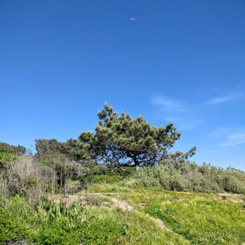Cesar Chavez Park - Parks Near Me - Berkeley, California Cesar Chavez Park - Parks Near Me - Berkeley, California