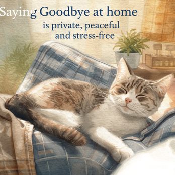 Furever Friends Veterinary Services - Veterinarians Near Me - Edmonton, Alberta
