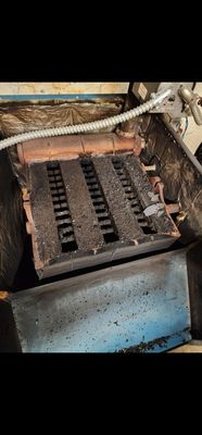 East Coast Concepts Logo