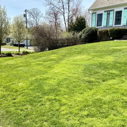 Cooper Landscaping Inc - April 2025, pear trees starting to flower, planted by Cooper in 2020 after the tornado in 2019 took 12 trees surrounding our property.