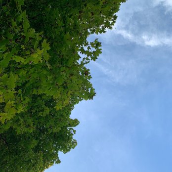 Maybury State Park - Maybury State Park in the summer - Parks Near Me - Northville, Michigan