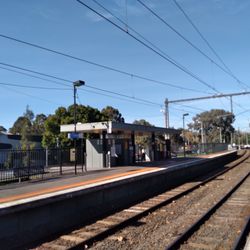 Tooronga - Shelter