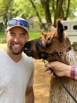 Carlson's Llovable Llamas by null