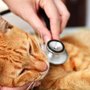 Photo of Willow Grace Veterinary Hospital