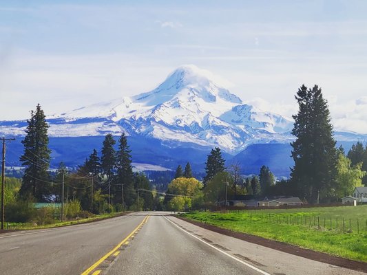 Mt Hood by null