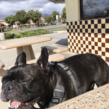 The Hat - Patio - Sandwiches Near Me - Simi Valley, California