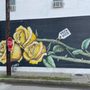 Photo of Yellow Roses
