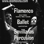 Photo of Escuela Flamenca Leo Molina