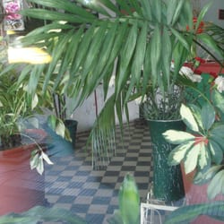 El Ferrocarril