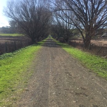 Tolay Lake Regional Park - Parks Near Me - Petaluma, California
