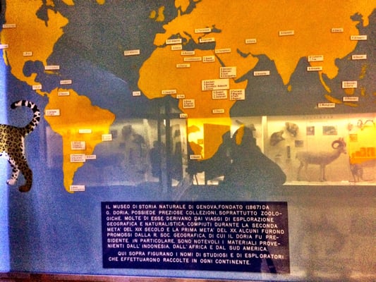 Museum of Natural History “Giacomo Doria” by null