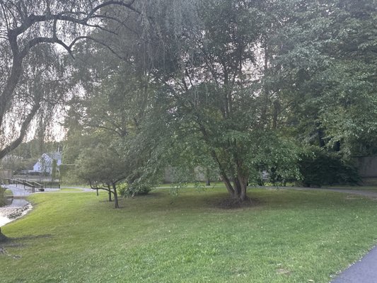 Larz Anderson Park by null