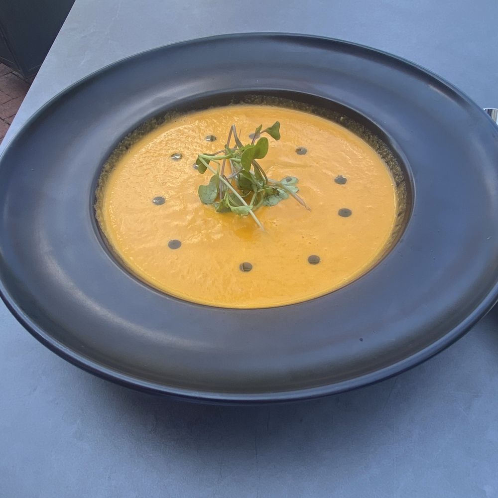 Community Experience: Ficus - Tomato soup - Yelp Events Near Me - Princeton, New Jersey Community Experience: Ficus - Tomato soup - Yelp Events Near Me - Princeton, New Jersey
