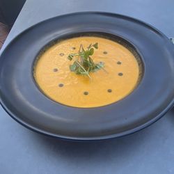 Community Experience: Ficus - Tomato soup