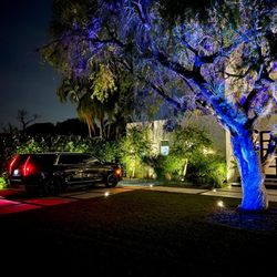 VIP Miami Limo